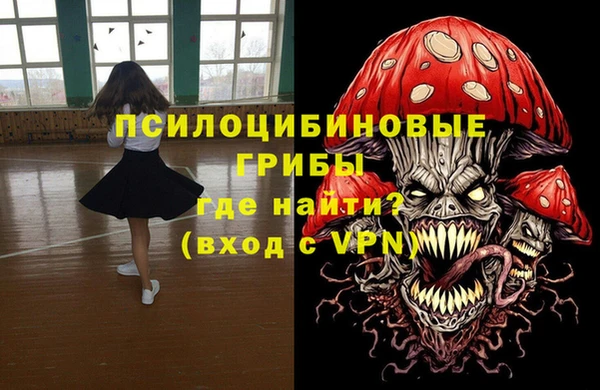 Альфа ПВП Иноземцево