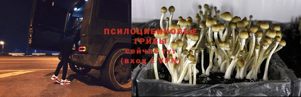 кокаин премиум Абдулино